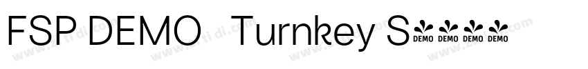 FSP DEMO   Turnkey S字体转换